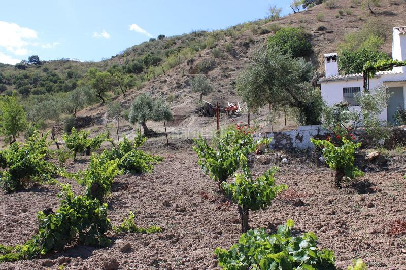 Foto 4228b956-3011-4180-8d7d-62039f1258fc. Casa a Partidas Norte Ronda