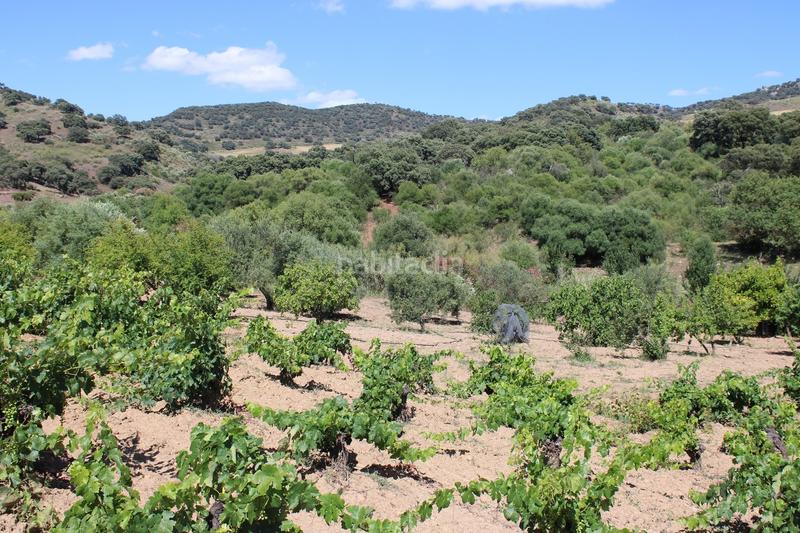 Foto 52fed829-2385-499d-a13e-63b4aa772d03. Casa a Partidas Norte Ronda