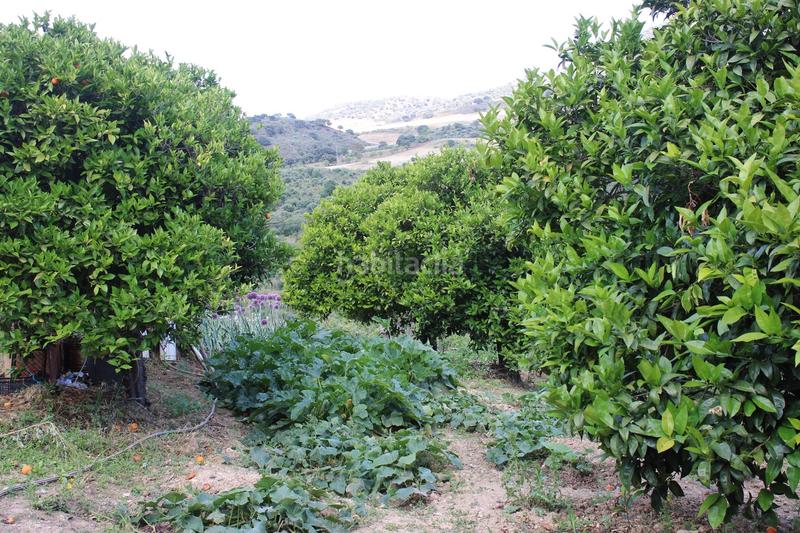 Foto 5336187f-7055-4a21-82dd-a39276051f63. Casa a Partidas Norte Ronda