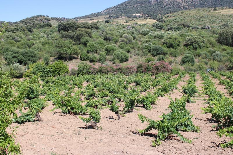 Foto 5bee0fac-c4c0-4799-930a-f347db2f364c. Casa a Partidas Norte Ronda
