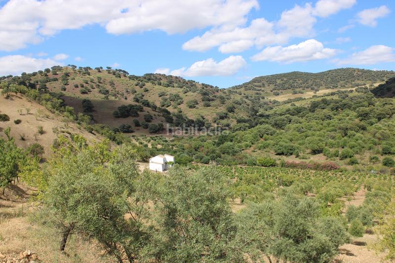 Foto 76484278-b03e-49eb-8d32-10708db7dadb. Casa a Partidas Norte Ronda