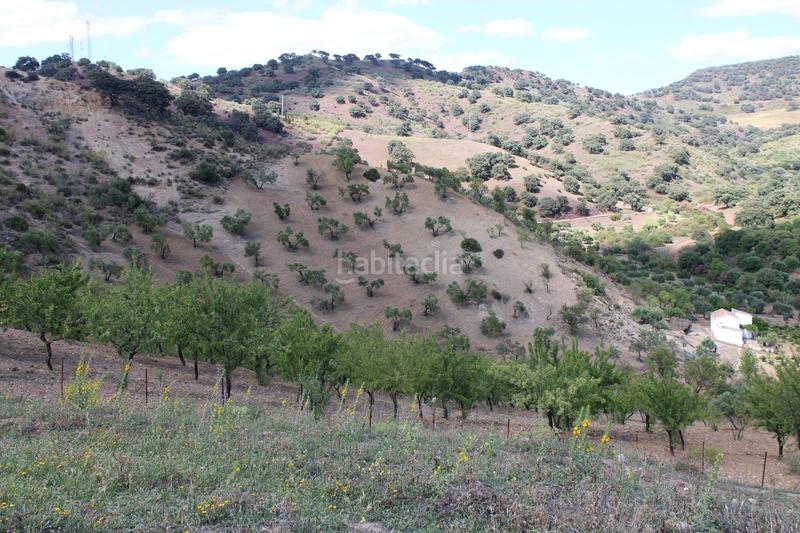 Foto 7824aa98-ee64-447d-b395-f3891280d9a2. Casa a Partidas Norte Ronda