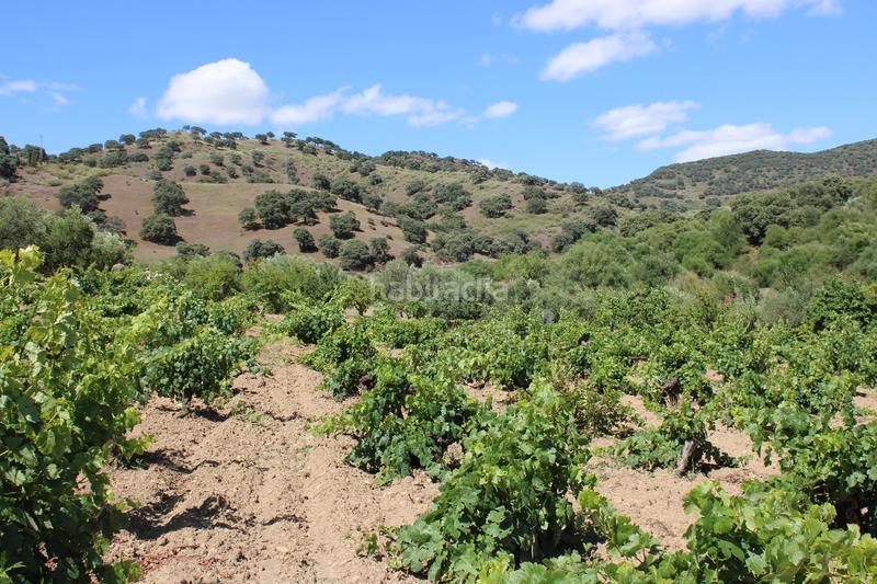 Foto a7a78a63-b1bb-4a5f-9c41-6d3b403d9de0. Casa a Partidas Norte Ronda