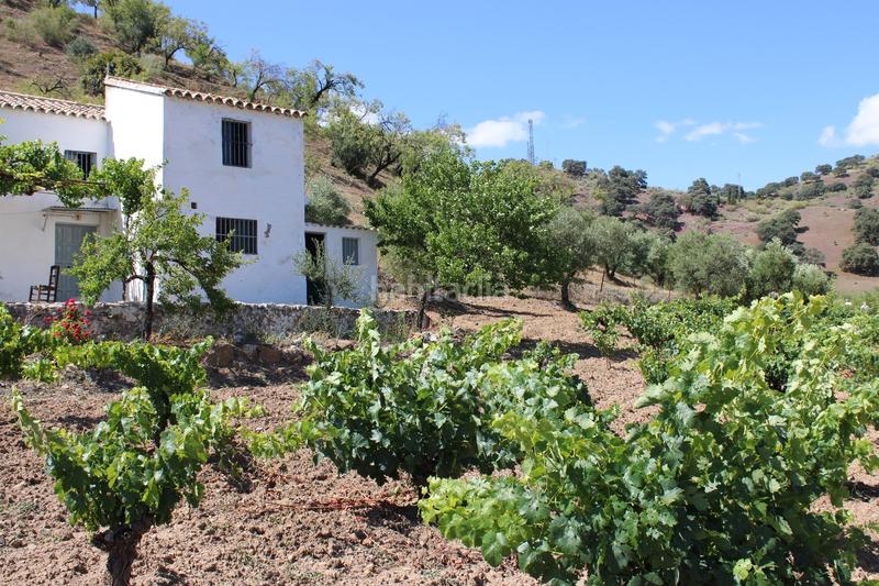 Foto a9676c07-ae3e-49d9-b748-6657bf71e16c. Casa a Partidas Norte Ronda