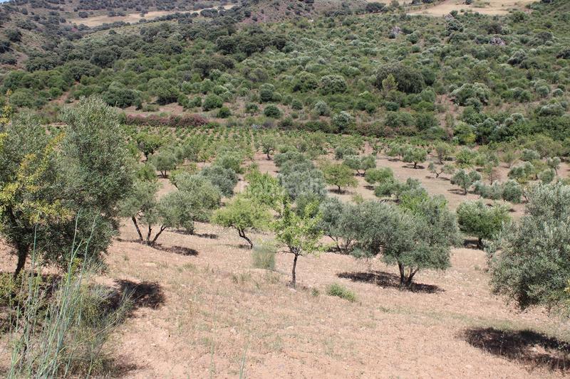 Foto b83bd0a4-c49a-4cd9-95d1-d86038c9a985. Casa a Partidas Norte Ronda