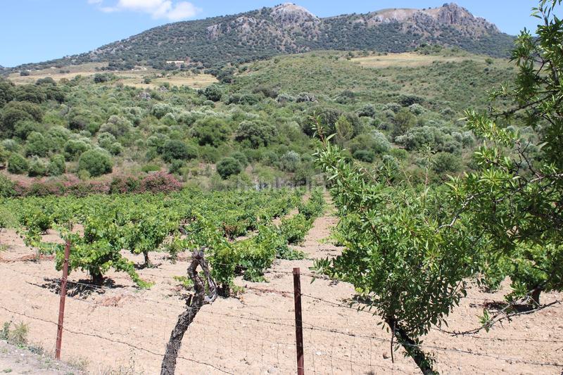 Foto c6536d07-64b4-4ad9-a7cb-0d1af7542a1f. Casa a Partidas Norte Ronda