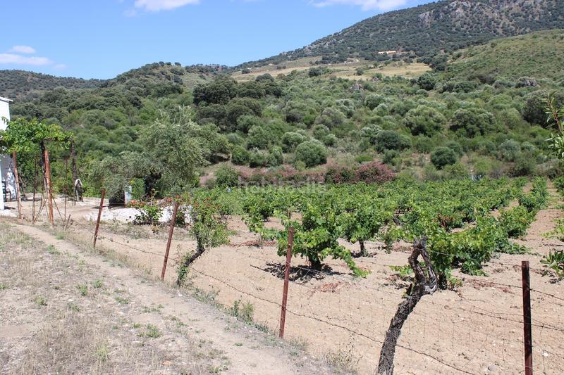 Foto d7631229-bb86-48c8-a0f6-80231b7caf4a. Casa a Partidas Norte Ronda