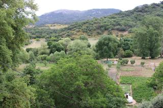 Casa  Cortes de la frontera. Finca en venta en la estacion de cortes encantadora finca en cor