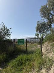 Fondo rustico  Camino moladi. Terrenos en venta en fiana