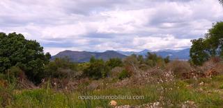 Rural plot in Llubí. Finca rustica edificable en llubí