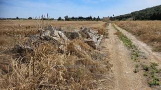 Finca rústica a Sa Pobla. Finca rustica en sa pobla de 4.037 m2