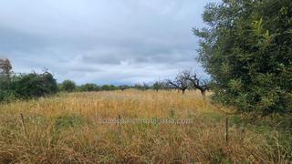 Finca rstica a Bger. Finca rustica edificable en bger