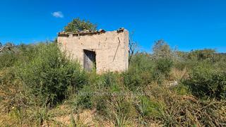 Finca rstica a Sa Pobla. Finca rustica de 10.500 m2, no es edificable