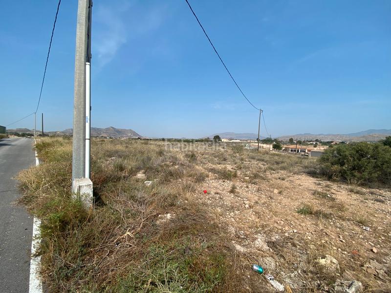 Foto 04e8379f-e20f-4e23-a3f9-6f80b0d16cd9. Finca rústica a camino rio ebro 123b a El Verdegàs Alicante