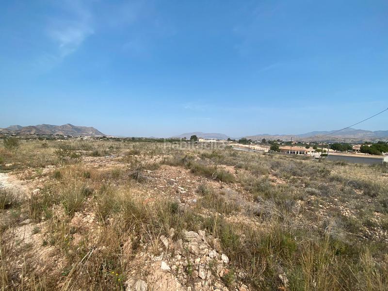 Foto 16a11f45-4600-4b21-ae9a-5f802375b253. Finca rústica a camino rio ebro 123b a El Verdegàs Alicante