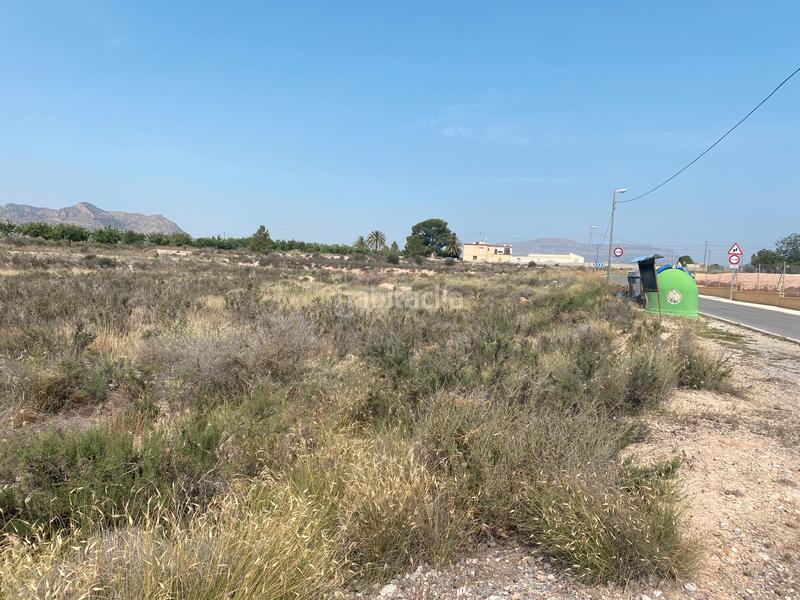 Foto 1e204124-04c6-44ea-911c-e3f8e399c6a0. Finca rústica a camino rio ebro 123b a El Verdegàs Alicante