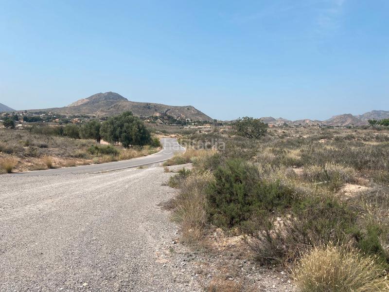 Foto 5ac825ae-7005-4c5c-8f2d-0d892e69b32b. Finca rústica a camino rio ebro 123b a El Verdegàs Alicante