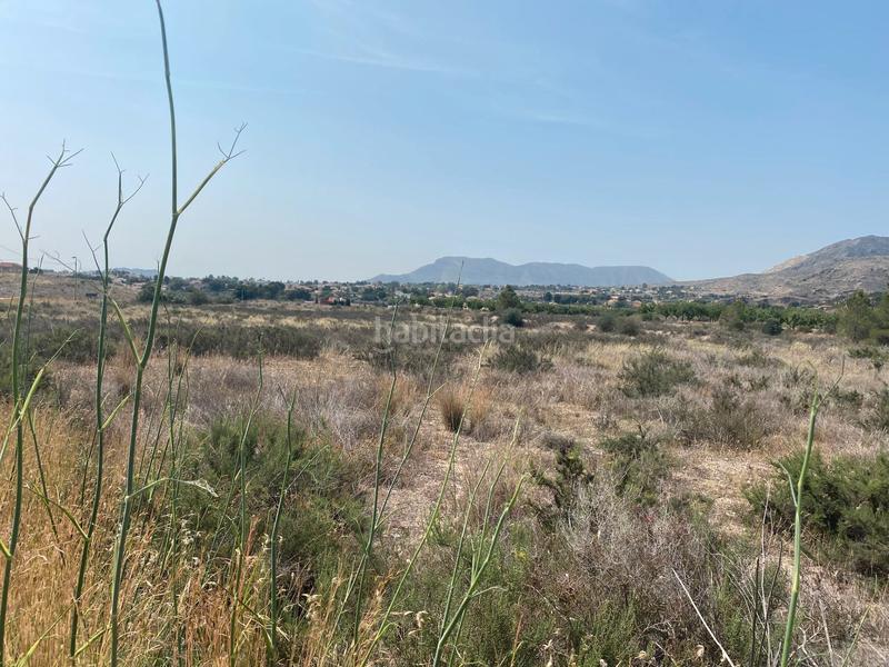 Foto 66dc23c0-8505-4e2f-8935-96a7953900d4. Finca rústica a camino rio ebro 123b a El Verdegàs Alicante
