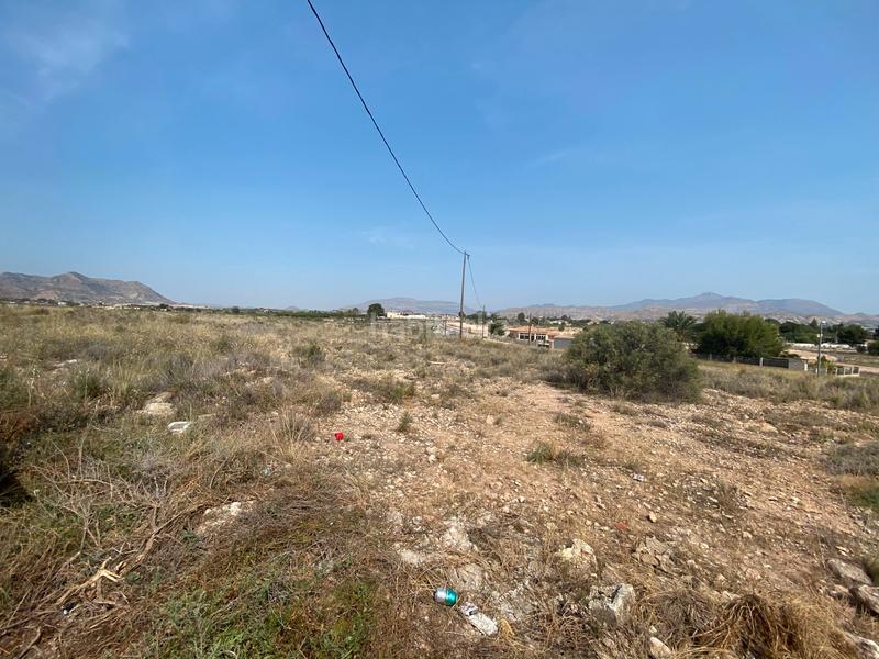 Foto 6db80c58-23bc-414b-912f-f25387f87ab3. Finca rústica a camino rio ebro 123b a El Verdegàs Alicante