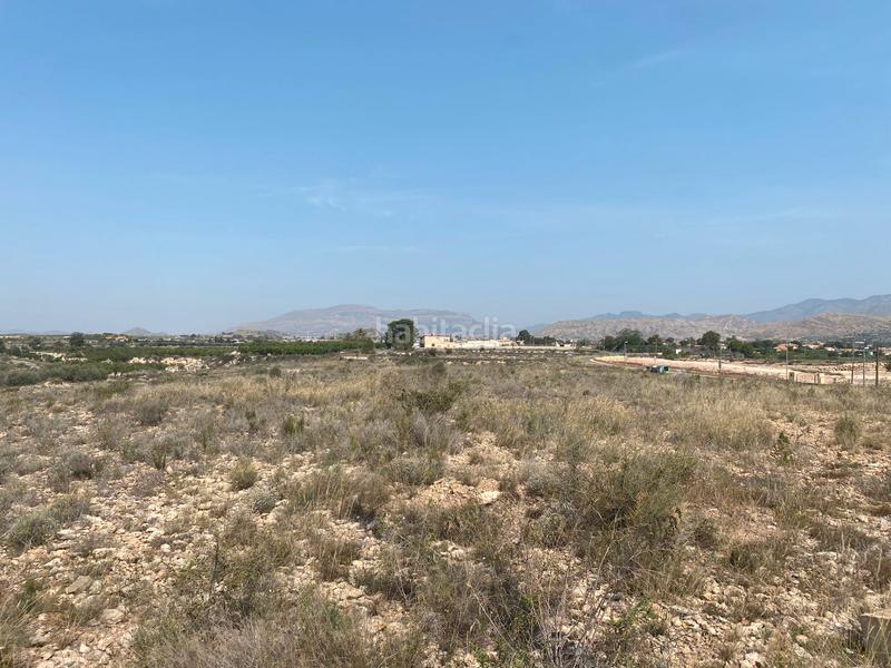 Foto 6e132595-4190-4701-b09d-08264fb5ca67. Finca rústica a camino rio ebro 123b a El Verdegàs Alicante