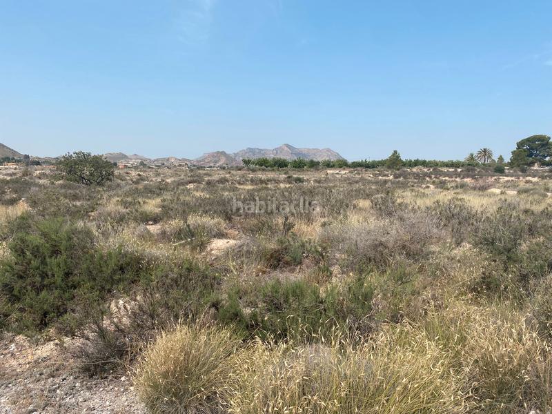 Foto b11b73f8-1a60-4b6d-8b51-d7d065fa2492. Finca rústica a camino rio ebro 123b a El Verdegàs Alicante