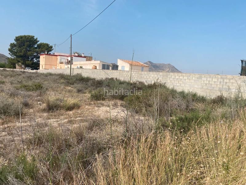 Foto b9852d11-089b-494f-8b0a-5c1f8ce6aba0. Finca rústica a camino rio ebro 123b a El Verdegàs Alicante