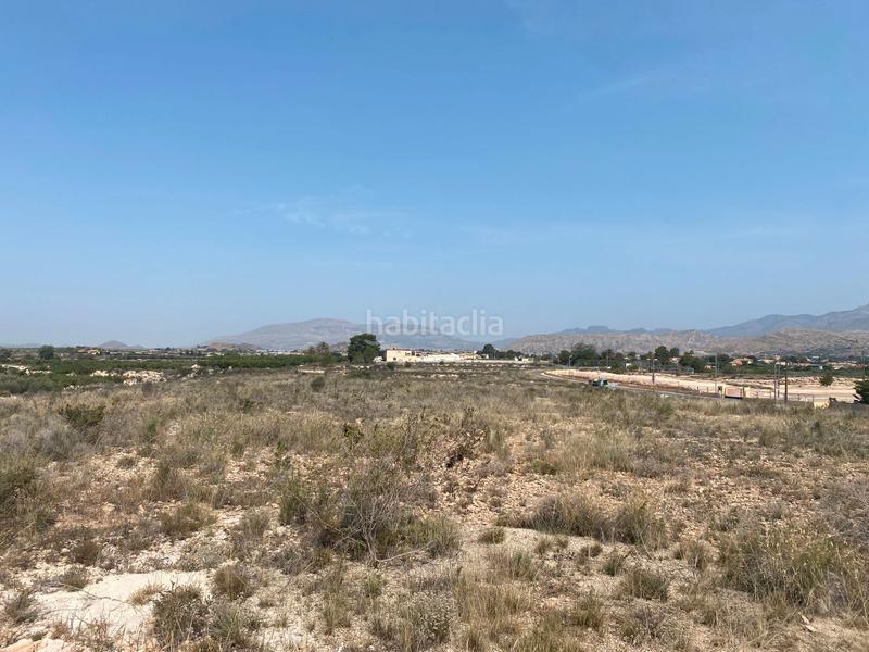 Foto b99211cd-63ab-49af-9315-4465420597ff. Finca rústica a camino rio ebro 123b a El Verdegàs Alicante