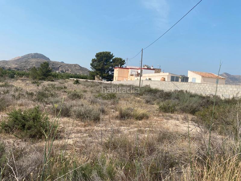 Foto dde188cf-f4fd-4a3a-9827-7cd16c4a2375. Finca rústica a camino rio ebro 123b a El Verdegàs Alicante