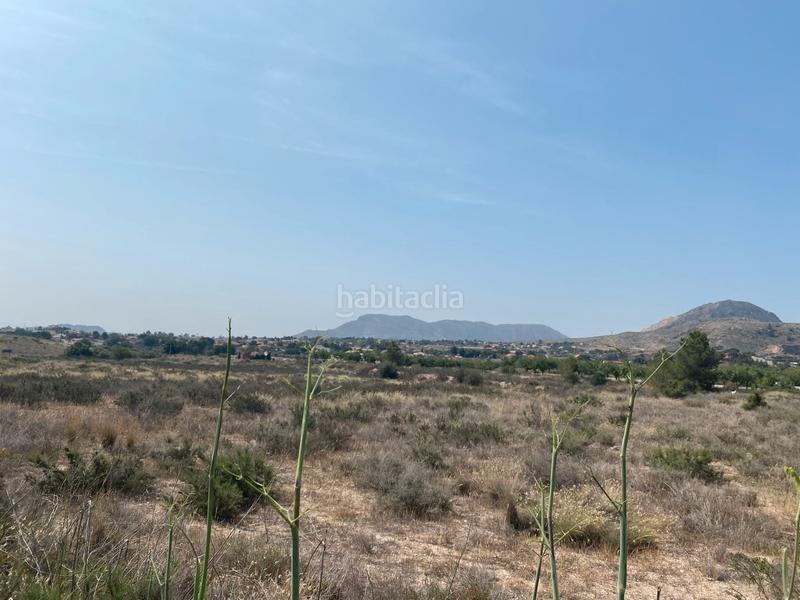 Foto f8f59871-a7de-4c2a-8792-c041232862b8. Finca rústica a camino rio ebro 123b a El Verdegàs Alicante