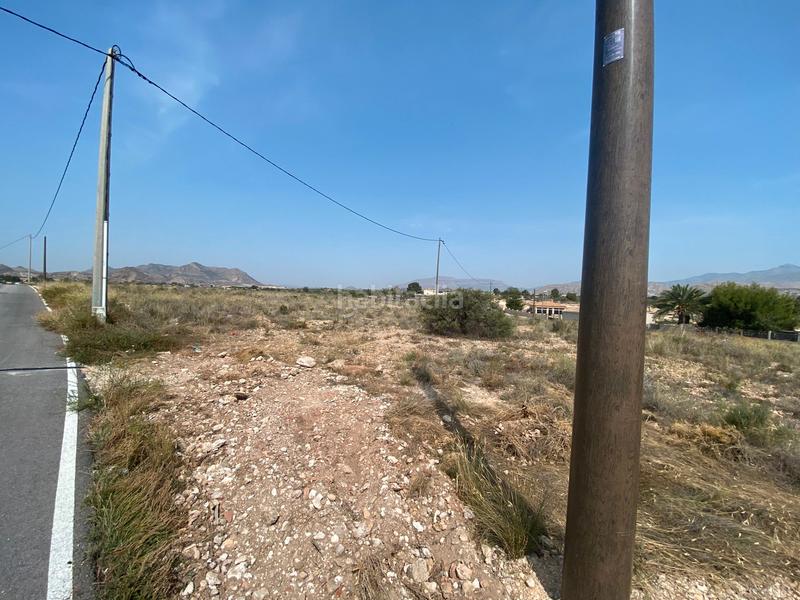Foto fa5d70d7-21ea-4a79-ad56-cc340c67ba43. Finca rústica a camino rio ebro 123b a El Verdegàs Alicante