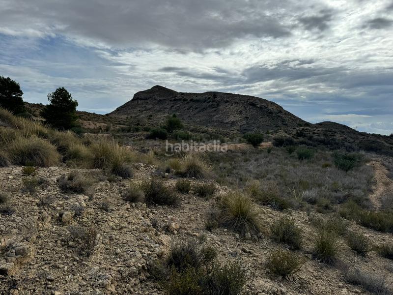 Foto bb9197ac-9d21-4019-b987-af120bb639de. Propriété dans partida tossal redó 152 dans Valle del Sol Mutxamel