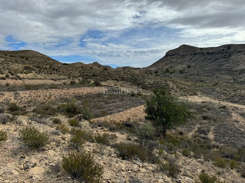 Foto 0c7b3c7f-ad4c-4a7f-982e-7c2113bc8e02. Rural plot in partida tossal redó 152 in Valle del Sol Mutxamel