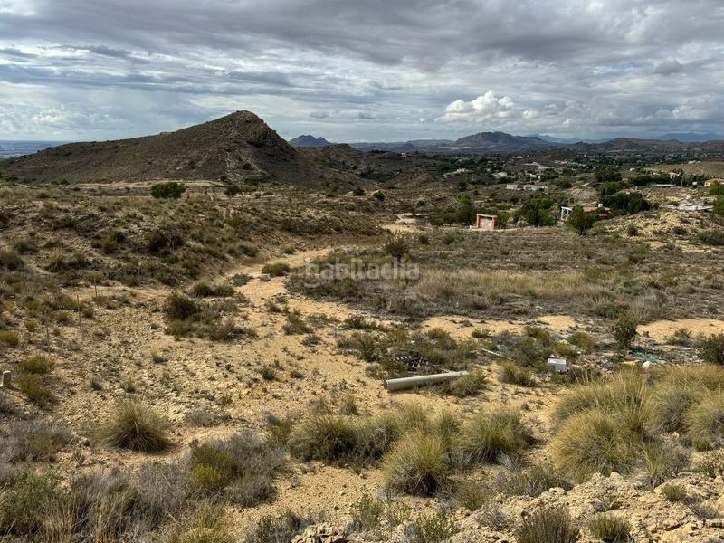 Foto a931e539-fffc-4b35-8af6-7af7020034a5. Finca rústica a partida tossal redó 152 a Valle del Sol Mutxamel