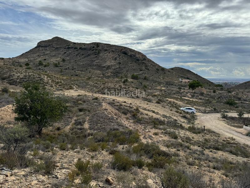 Foto f3db2fea-c4a6-4c13-be53-b699422d6c88. Finca rústica a partida tossal redó 152 a Valle del Sol Mutxamel