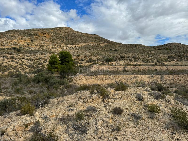 Foto 6eb87b93-51fd-47ce-a25a-71c74550beee. Finca rústica en partida tossal redó 152 en Valle del Sol Mutxamel