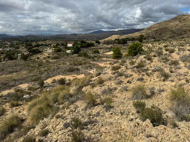 Foto a34be7b6-8772-4033-8461-ea6121e5e65c. Finca rústica en partida tossal redó 152 en Valle del Sol Mutxamel