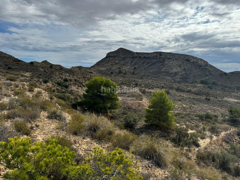 Foto ff466bb3-8ab1-46aa-b243-a1f39661bcaf. Finca rústica en partida tossal redó 152 en Valle del Sol Mutxamel