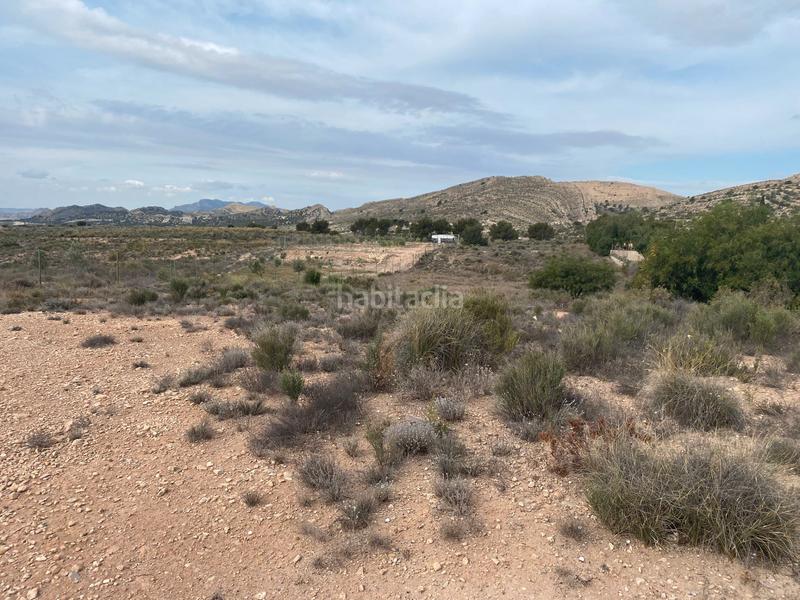 Foto 14c73fa9-ee3a-4e90-9b7b-ded63c108805. Terreno residencial en avenida de las islas 7 terreno en avenida las islas en Alicante