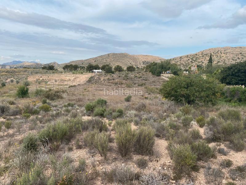 Foto 71654b1a-5740-4136-b72d-41021cce828e. Terreno residencial en avenida de las islas 7 terreno en avenida las islas en Alicante