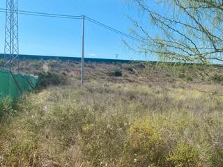 Propriété à Carretera de agost 41. Terreno en venta carretera de agost