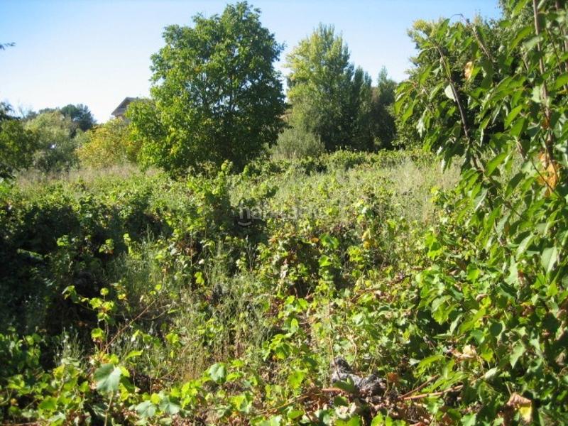 Foto ff935da5-04ed-44e5-b7c3-19905ae59f56. Haus mit parking in Cacabelos