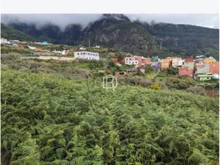 Propriété à Montes claros 15. Terreno rustico en los realejos