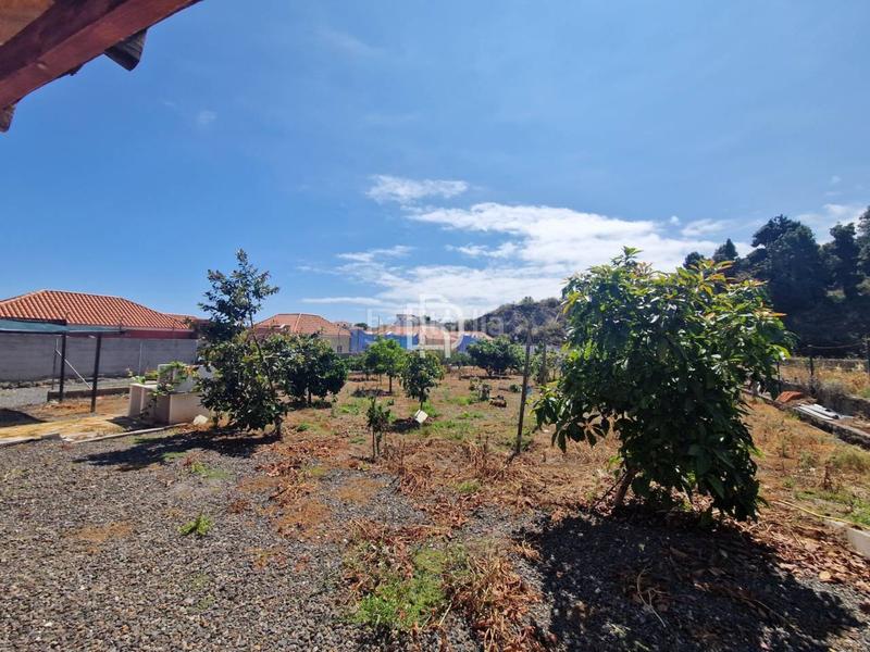 Foto 4b8dcd2a-15c1-4a7e-b049-4b268fe927cc. Wohngrundstück in menceyes 1 in Buen Paso - La Mancha Icod de los Vinos