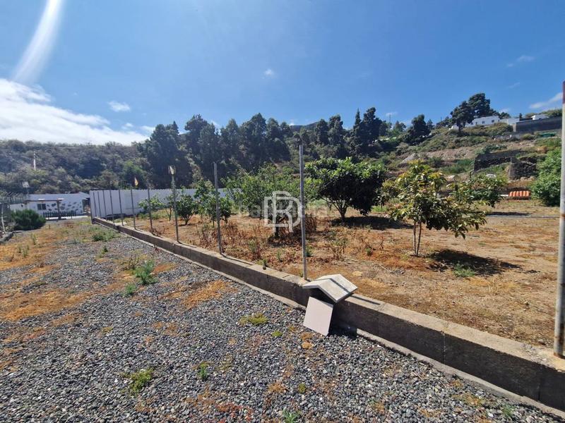 Foto a39555f8-5892-4534-8087-5174d306f31f. Wohngrundstück in menceyes 1 in Buen Paso - La Mancha Icod de los Vinos