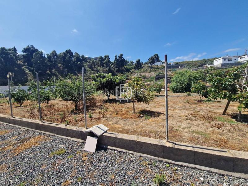 Foto bc9cbf5b-c6ca-4b45-9153-b9bfd318b040. Wohngrundstück in menceyes 1 in Buen Paso - La Mancha Icod de los Vinos