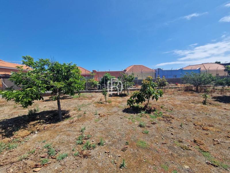 Foto cbfe9ecb-935a-4ac9-ad38-35c58c054187. Wohngrundstück in menceyes 1 in Buen Paso - La Mancha Icod de los Vinos