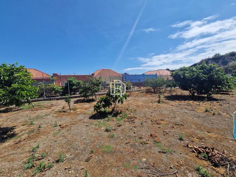 Foto e82f0f17-8060-4fc8-a081-947b63731e18. Wohngrundstück in menceyes 1 in Buen Paso - La Mancha Icod de los Vinos