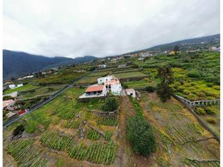 Masía  Cañada 214. Exclusiva finca con viñedo y multiples construcciones en pleno c