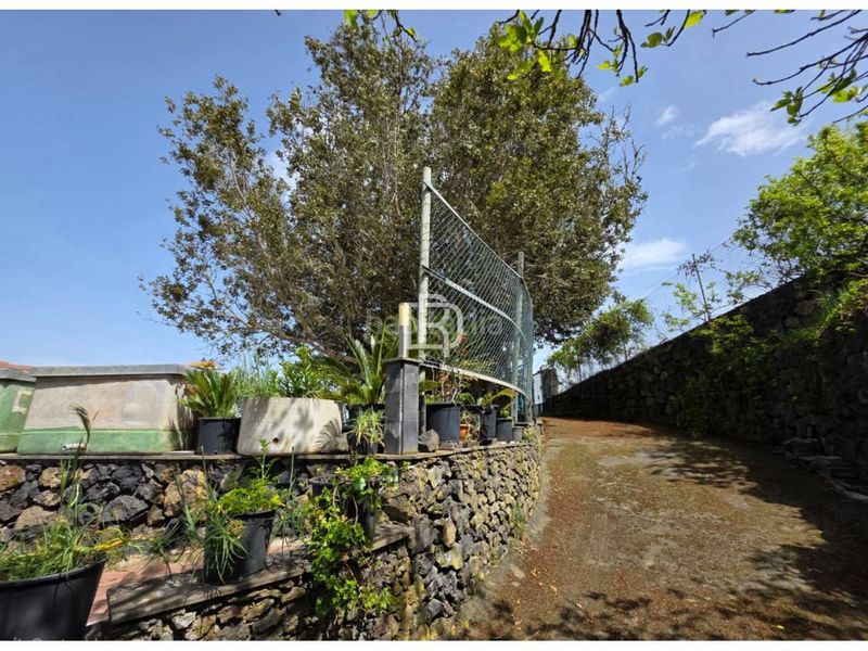 Foto 9f742917-c239-4697-91bd-2d0a43b59e42. Masia amb aparcament a Garachico