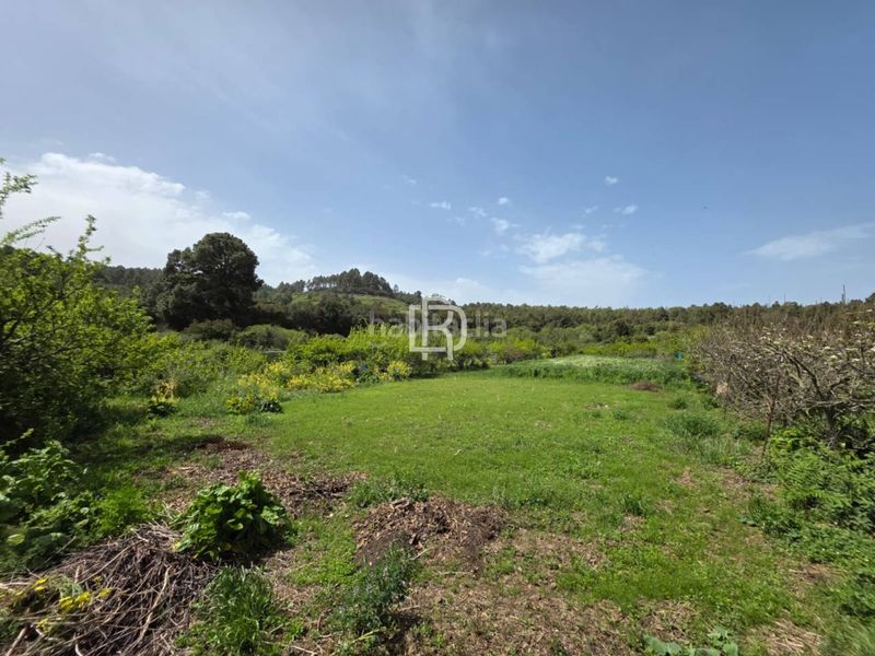 Foto aa526d4a-fa58-428b-81cd-a3e58460f5ca. Masia amb aparcament a Garachico